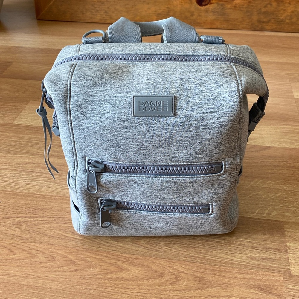 Dagne Dover Gray Backpack